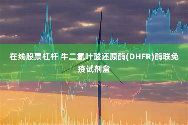 在线股票杠杆 牛二氢叶酸还原酶(DHFR)酶联免疫试剂盒