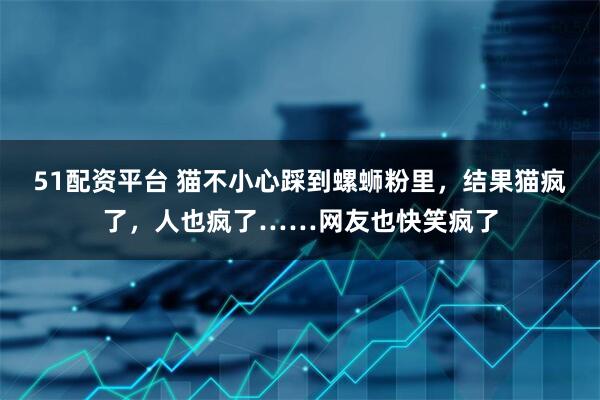 51配资平台 猫不小心踩到螺蛳粉里，结果猫疯了，人也疯了……网友也快笑疯了
