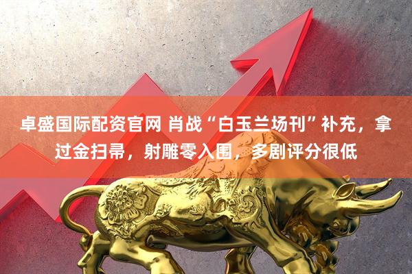 卓盛国际配资官网 肖战“白玉兰场刊”补充,拿过金扫帚,射雕零入围,多剧评分很低
